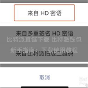 比特派直链下载 比特派钱包新手指南：下载使用教程