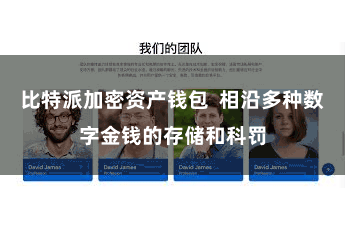 比特派加密资产钱包  相沿多种数字金钱的存储和科罚