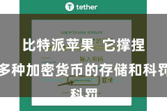 比特派苹果 它撑捏多种加密货币的存储和科罚